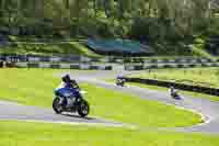 Lower Group Blue Bikes